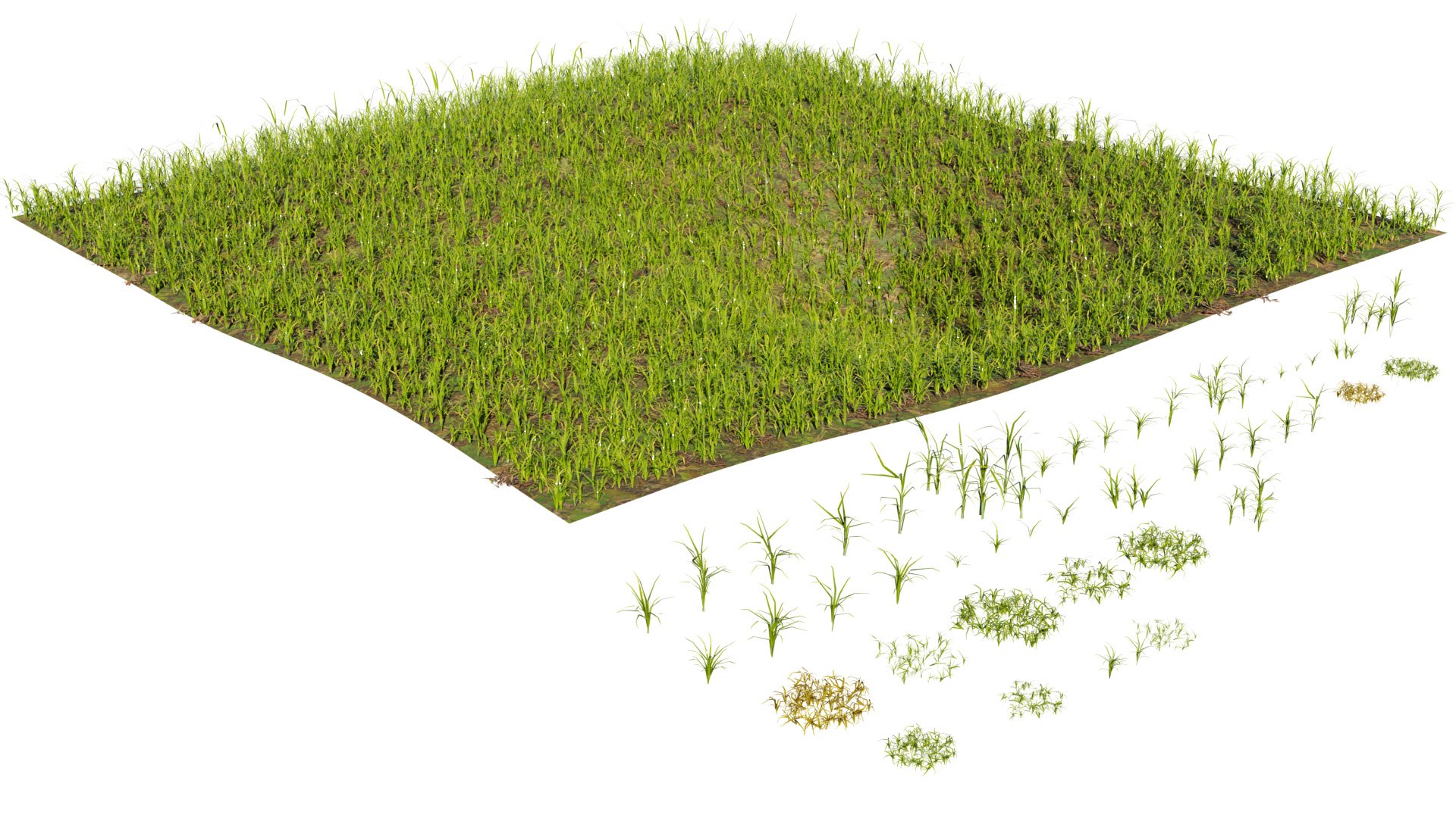 Lush Grass 3D Collection Individual  Pre Built Meadow 3D https://p.turbosquid.com/ts-thumb/ic/0BJwmW/yg/02223/jpg/1746661853/1920x1080/fit_q87/8d5c834fb474272d21d1b4090de5cb34617375ab/02223.jpg