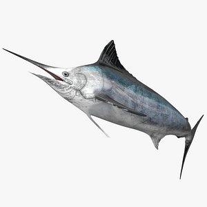 Marlin Rigged L1590