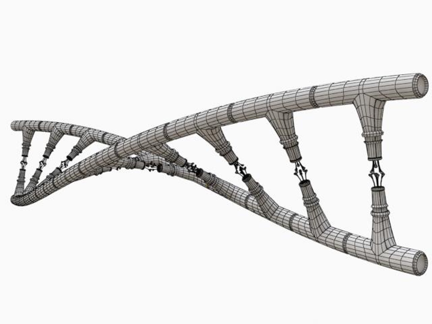 max nano dna