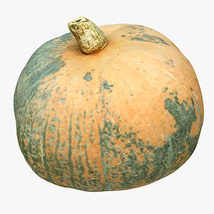 3D pumpkin