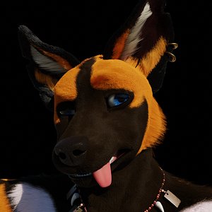 AfricanDog