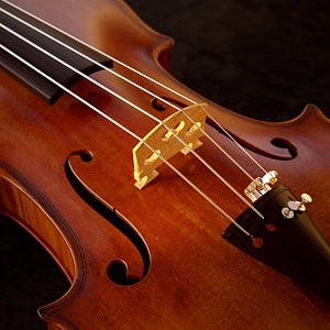 3d model of violin