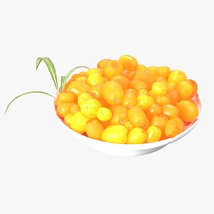 sea buckthorn 3D model