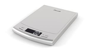 Digital Scale 3D model