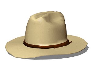 Cowboy Hat