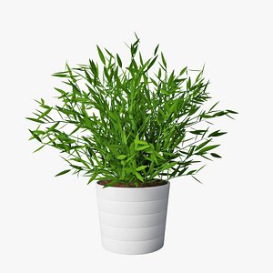 3D model plant pot