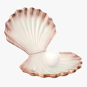 shell pearl sea 3D model