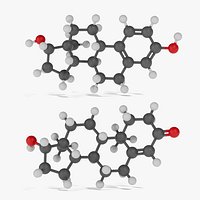 Testosterone and Estrogen Molecules