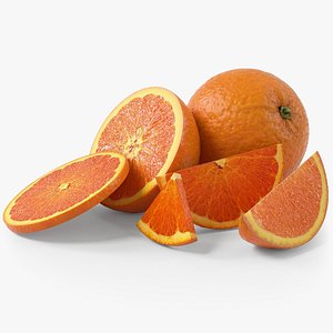 Orange Fruit Set 3D model