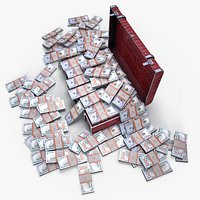 Suitcase With Money