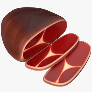 Cartoon Ham Meat 3D