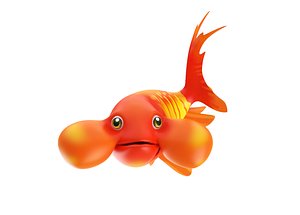 3D bubble eye fish toon