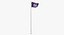 Flag On Pole Belize