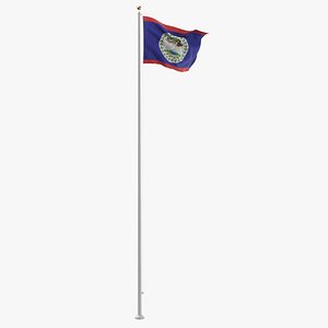 Flag On Pole Belize