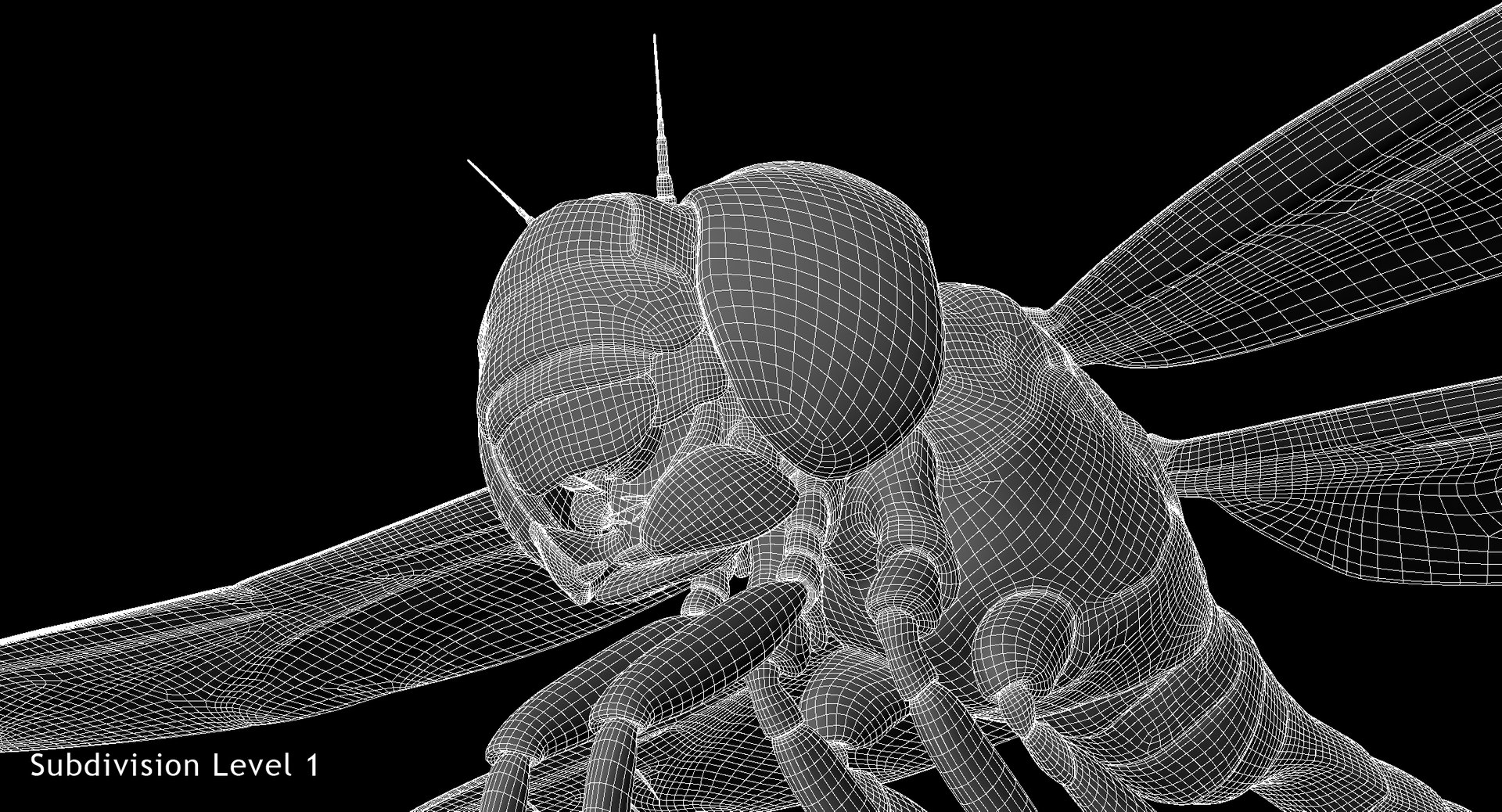 3D dragonfly paddle-tailed darner tail https://p.turbosquid.com/ts-thumb/ie/0y68RG/3xRLAgl0/w06/jpg/1537160826/1920x1080/fit_q87/43f53b6d171c2e0e2450cb5662d6908f2d67c1dd/w06.jpg