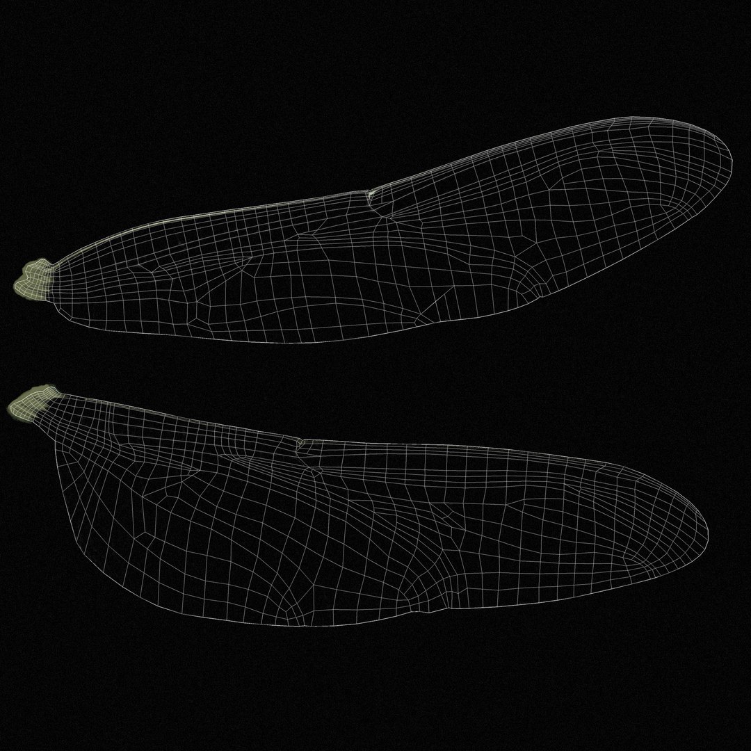 3D dragonfly paddle-tailed darner tail https://p.turbosquid.com/ts-thumb/ie/0y68RG/JwDE0Av3/wings_uv/jpg/1537160826/1920x1080/fit_q87/77884c23679d57c2b35cfba54e7a0ea39513e465/wings_uv.jpg
