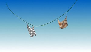 CLOTH SIMULATED ENVIRONMENT SET