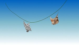 CLOTH SIMULATED ENVIRONMENT SET