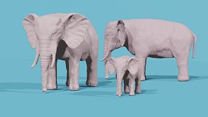 Asian Elephant 3D model