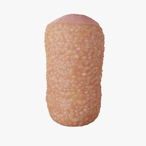 Human intestine gut bacteria 3D