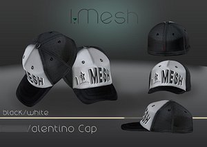 mesh cap 3d model