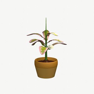 3D Flower in a Pot model