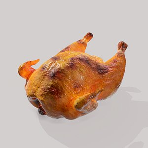 3D stuffed turkey model