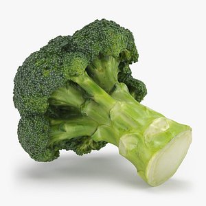 Whole Broccoli 3D model