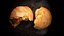 Photoreal Bread 3D Scan 05