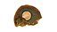 Photoreal Bread 3D Scan 05