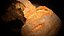 Photoreal Bread 3D Scan 05