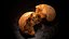 Photoreal Bread 3D Scan 05
