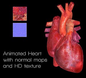 human heart 3d 3ds