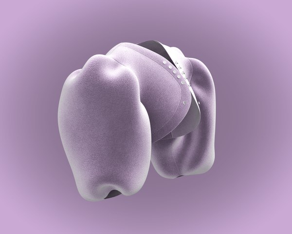 iCotton Print Pouf Sleeve Top main image 0