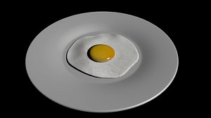 fried egg 3D model