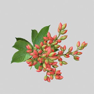 Pistachios branch V1