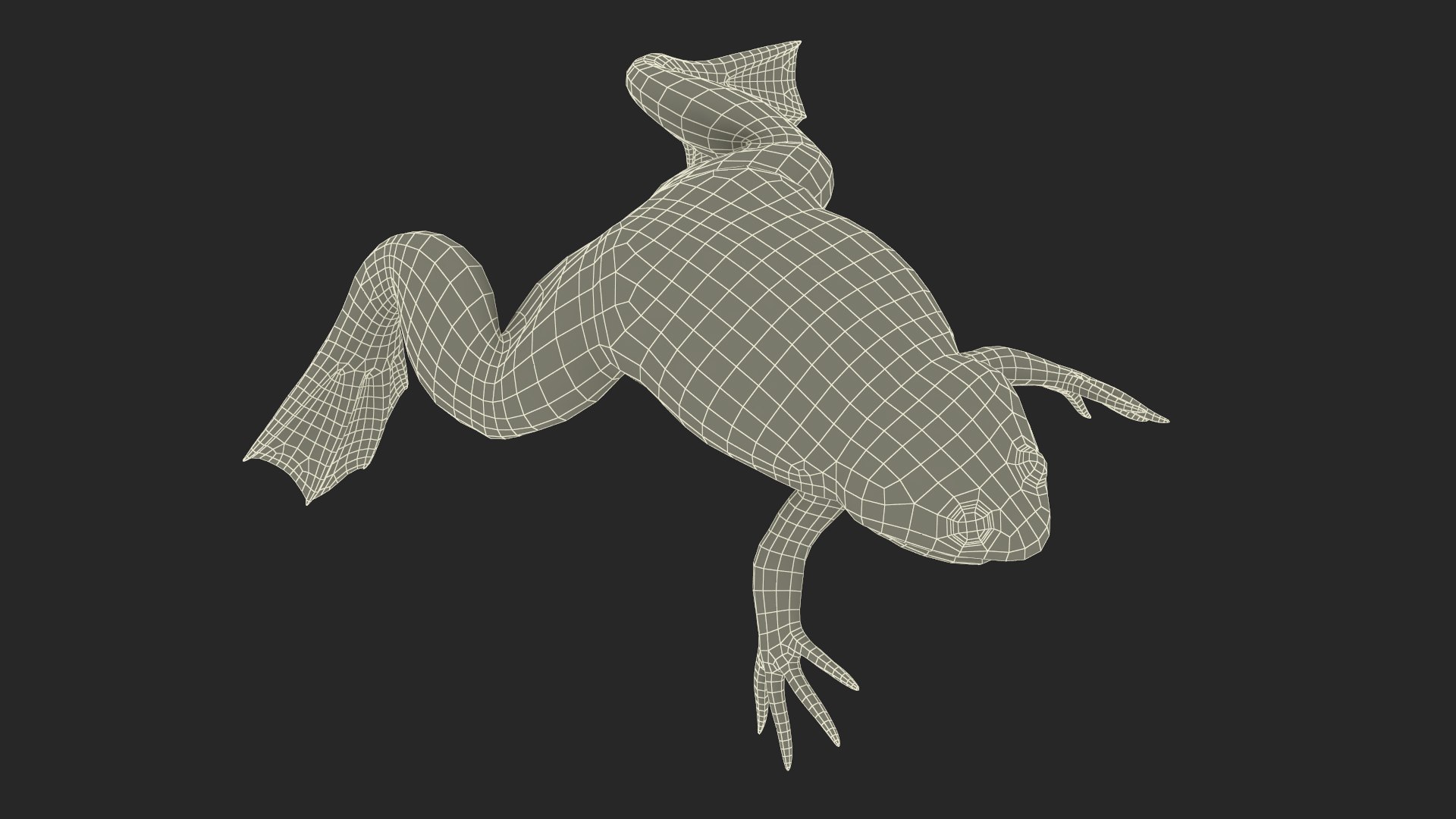 Xenopus African Clawed Toad Rigged 3D - TurboSquid 2131567