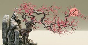 Old Peach Blossom Tree 3D model
