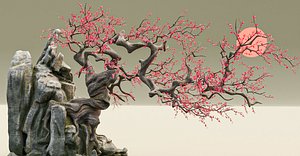 Old Peach Blossom Tree
