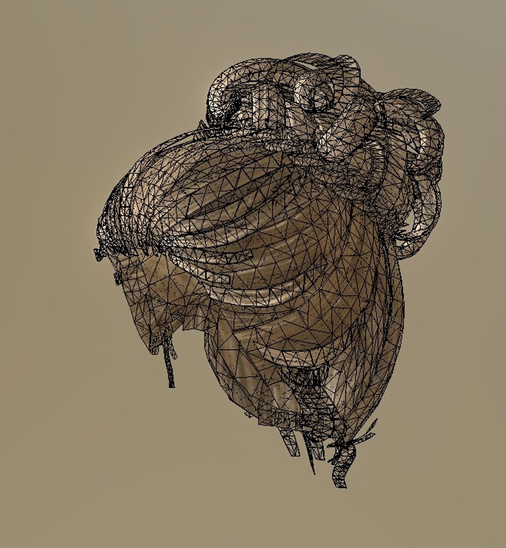 3D model hair female https://p.turbosquid.com/ts-thumb/ig/5SMvzL/cYua5HcJ/screenshot_271/jpg/1553651102/1920x1080/fit_q87/2e0e227e4ab1af25e6fcfb1c049bad935792b178/screenshot_271.jpg