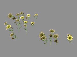 yellow flowers 03 model