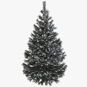 Pine Fir Tree with Snow