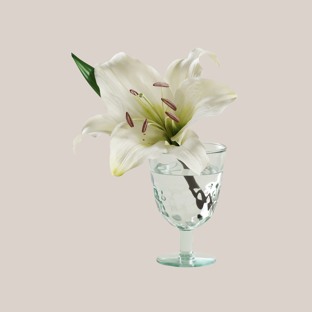 Lilium Flower 3D https://p.turbosquid.com/ts-thumb/ig/PRWO3l/rY/bo_liliumflower_prw_3/jpg/1712139378/1920x1080/fit_q87/8145779f658b0b7e2e88078b820def06e2e0f420/bo_liliumflower_prw_3.jpg