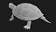 Turtle 3D model
