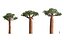 african plants includes growfx 3D model