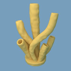 MARINE SPONGES for fish tank