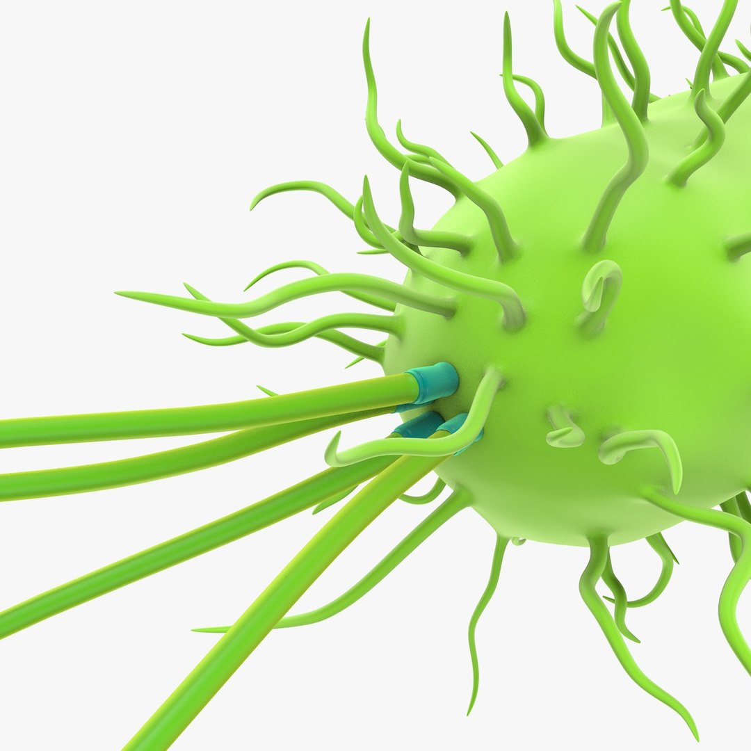 prokaryotic cell ribosomes model https://p.turbosquid.com/ts-thumb/ig/mlHapy/aH4sdMiq/prokaryotic_0025/jpg/1493495546/1920x1080/fit_q87/b63f19d4ffcf792993896a68e1274137112ceb8f/prokaryotic_0025.jpg