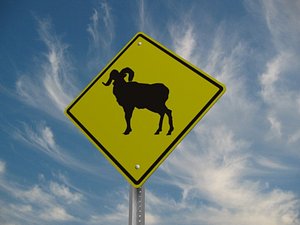 Bighorn Xing Road Sign