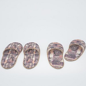 slippers v-ray 3d model