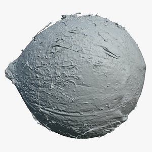 3D Coconut 01 - For 3D Print